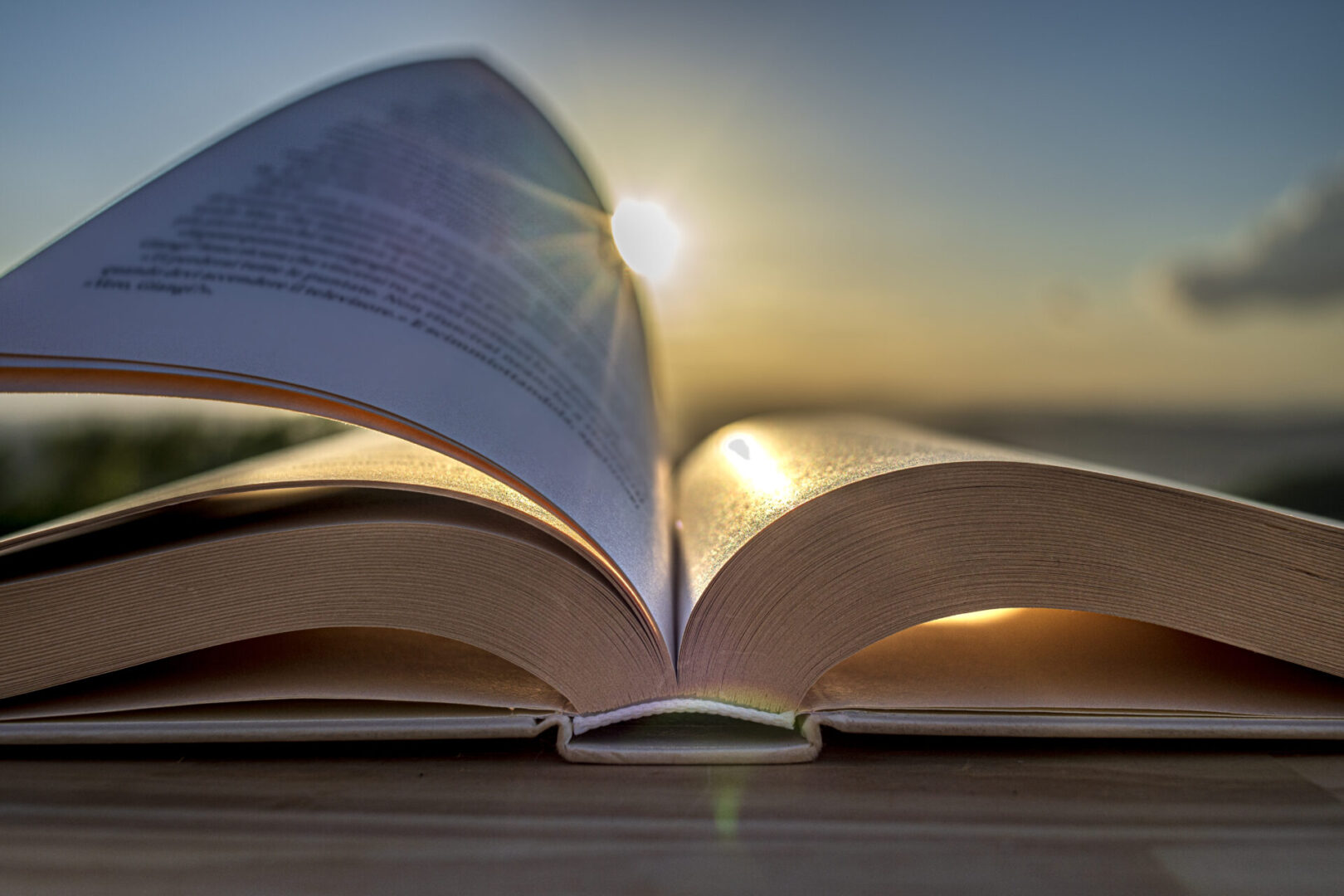 Book open in the sunlight Book open in the sunlight