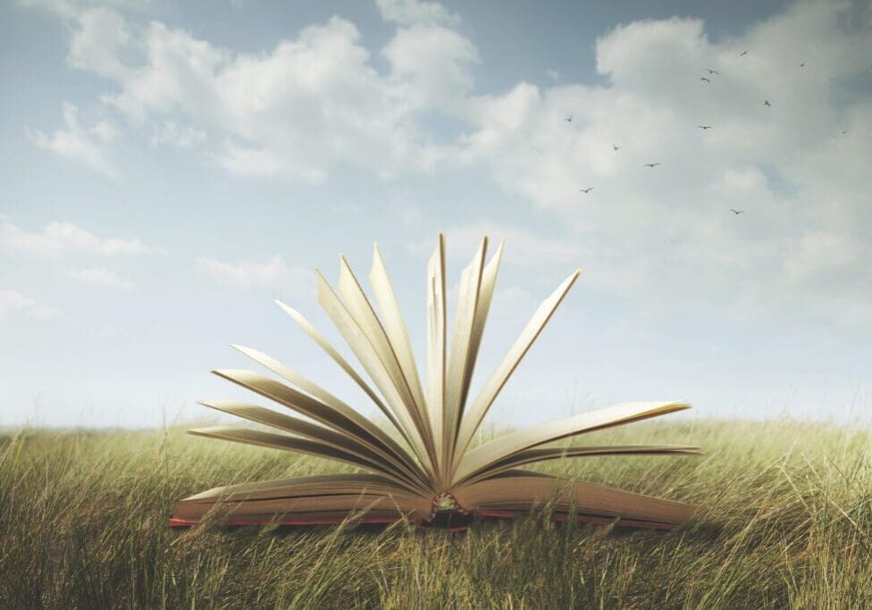 surreal open book ready to be read in a wild meadow