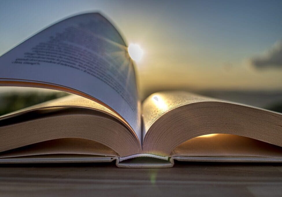 Book open in the sunlight